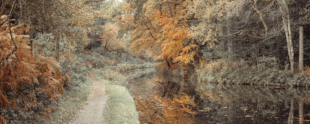 Pathway by canal in Forest art print by Assaf Frank for $57.95 CAD