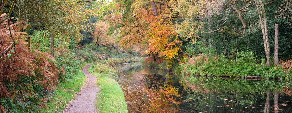 Pathway by canal in Autumn forest art print by Assaf Frank for $57.95 CAD