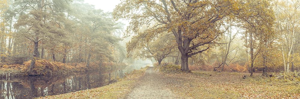 Misty Canal, Autumn art print by Assaf Frank for $57.95 CAD