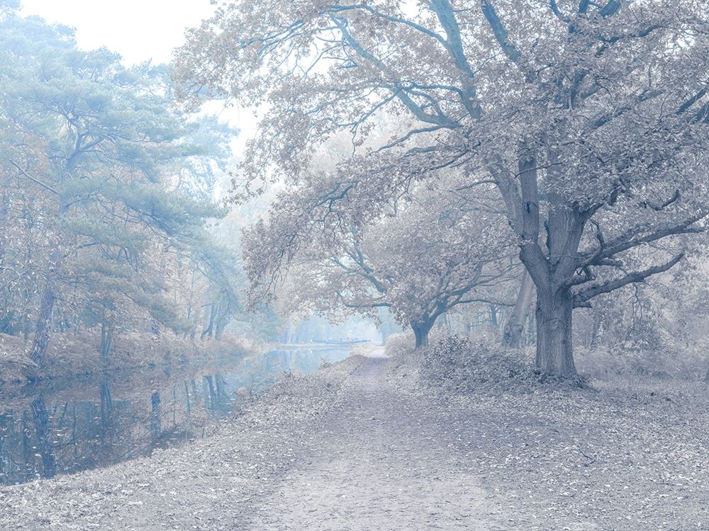 Misty Canal-Autumn art print by Assaf Frank for $57.95 CAD