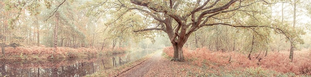 Canal through forest art print by Assaf Frank for $57.95 CAD