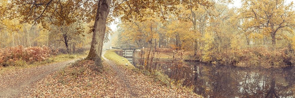 Canal through forest art print by Assaf Frank for $57.95 CAD