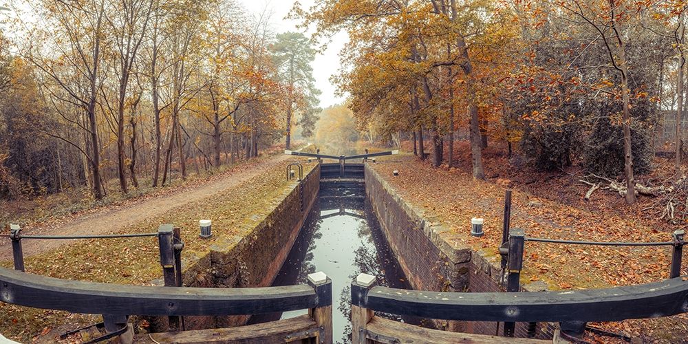 Canal through forest art print by Assaf Frank for $57.95 CAD