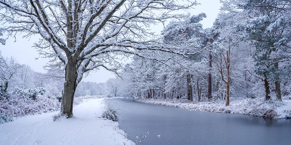 Canal through forest art print by Assaf Frank for $57.95 CAD