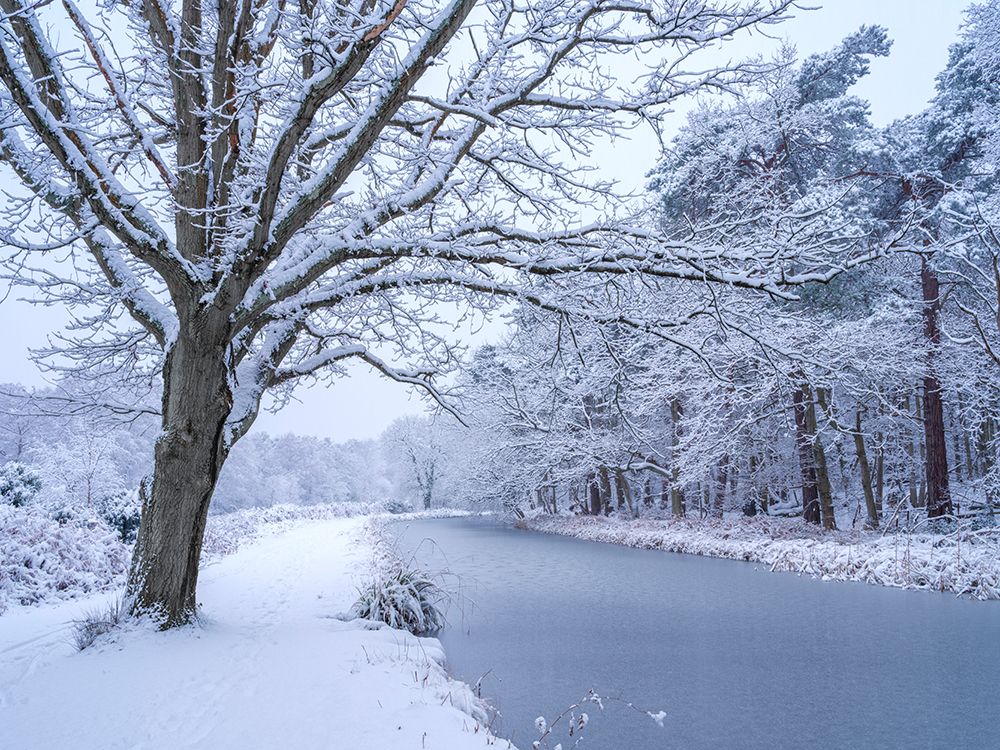 Canal on a snowy day art print by Assaf Frank for $57.95 CAD