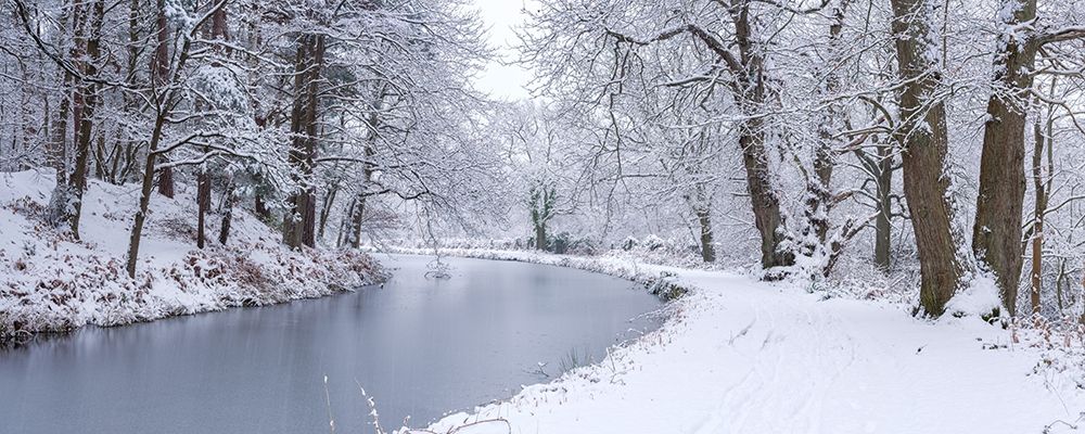 Canal through forest art print by Assaf Frank for $57.95 CAD