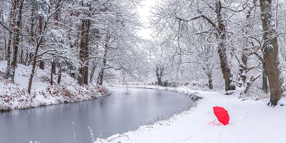 Umbrella by a snowy canal art print by Assaf Frank for $57.95 CAD