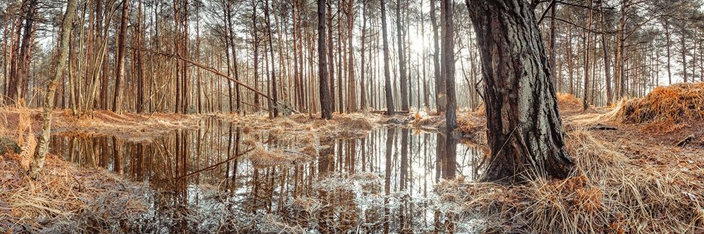 Canal through forest art print by Assaf Frank for $57.95 CAD