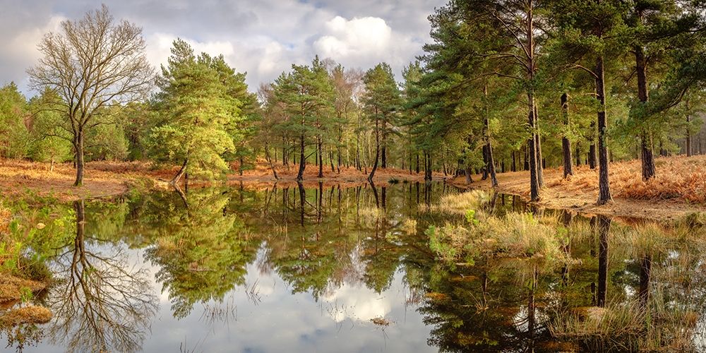 Canal through forest art print by Assaf Frank for $57.95 CAD