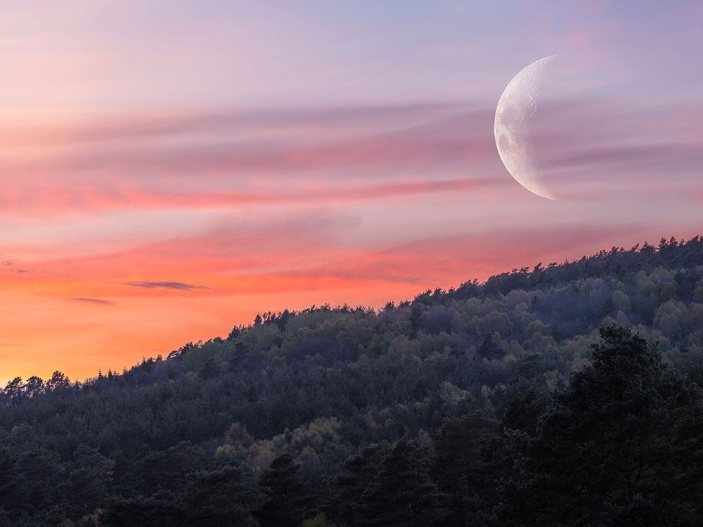 Moon sunset hillside art print by Assaf Frank for $57.95 CAD
