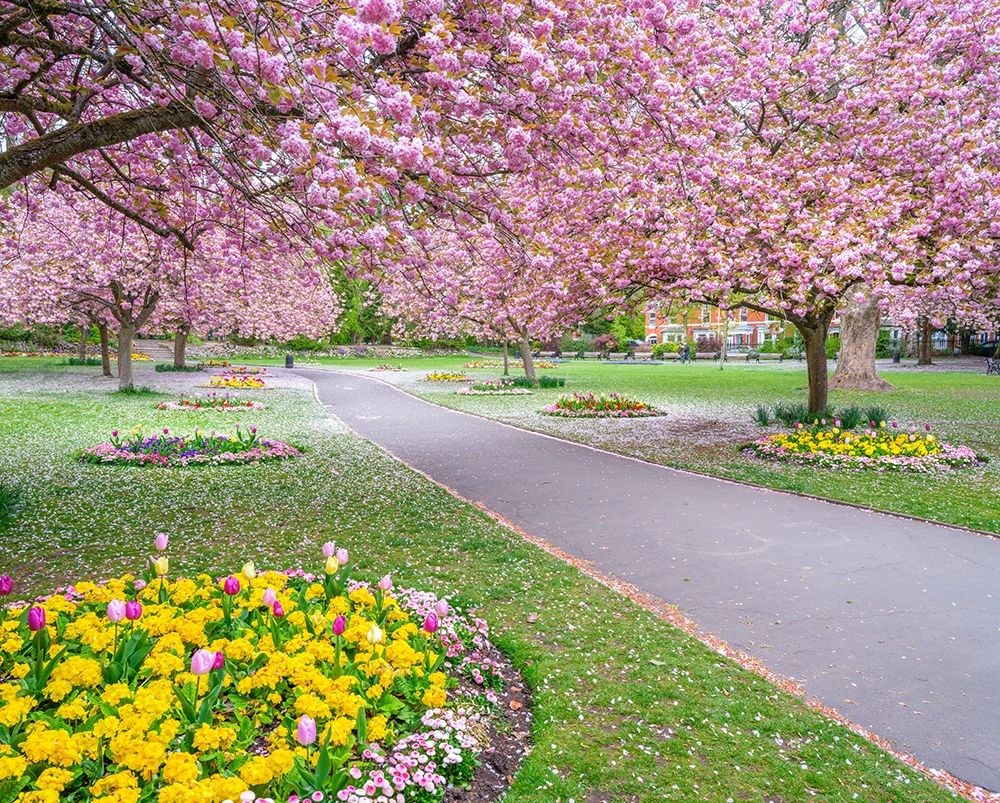 Blossom in the park art print by Assaf Frank for $57.95 CAD