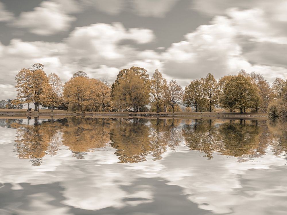 Trees along the lake art print by Assaf Frank for $57.95 CAD