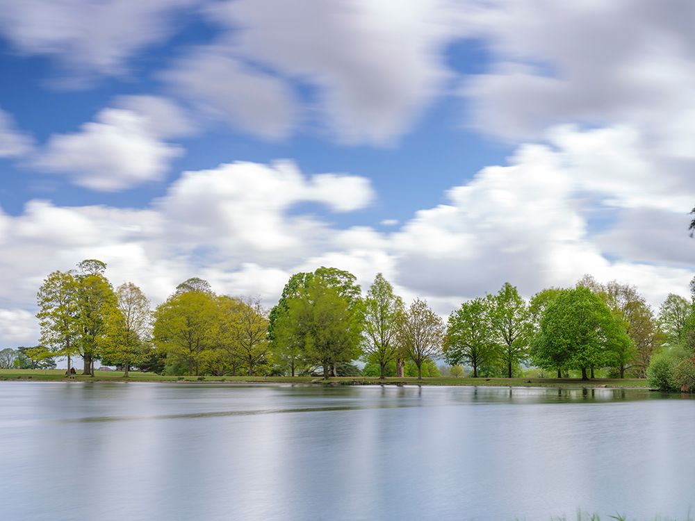 Trees along the lake art print by Assaf Frank for $57.95 CAD