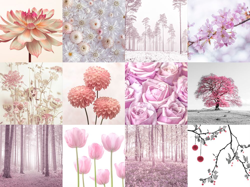 Pink Flora Set 02 art print by Assaf Frank for $57.95 CAD