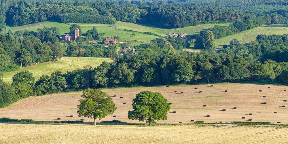 England hills art print by Assaf Frank for $57.95 CAD
