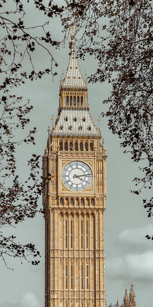 Big ben seen through tree branches art print by Assaf Frank for $57.95 CAD
