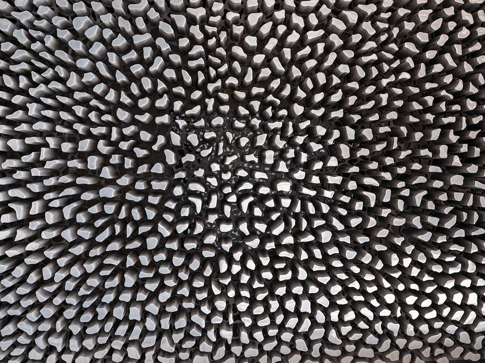 Textured wooden surface art print by Assaf Frank for $57.95 CAD