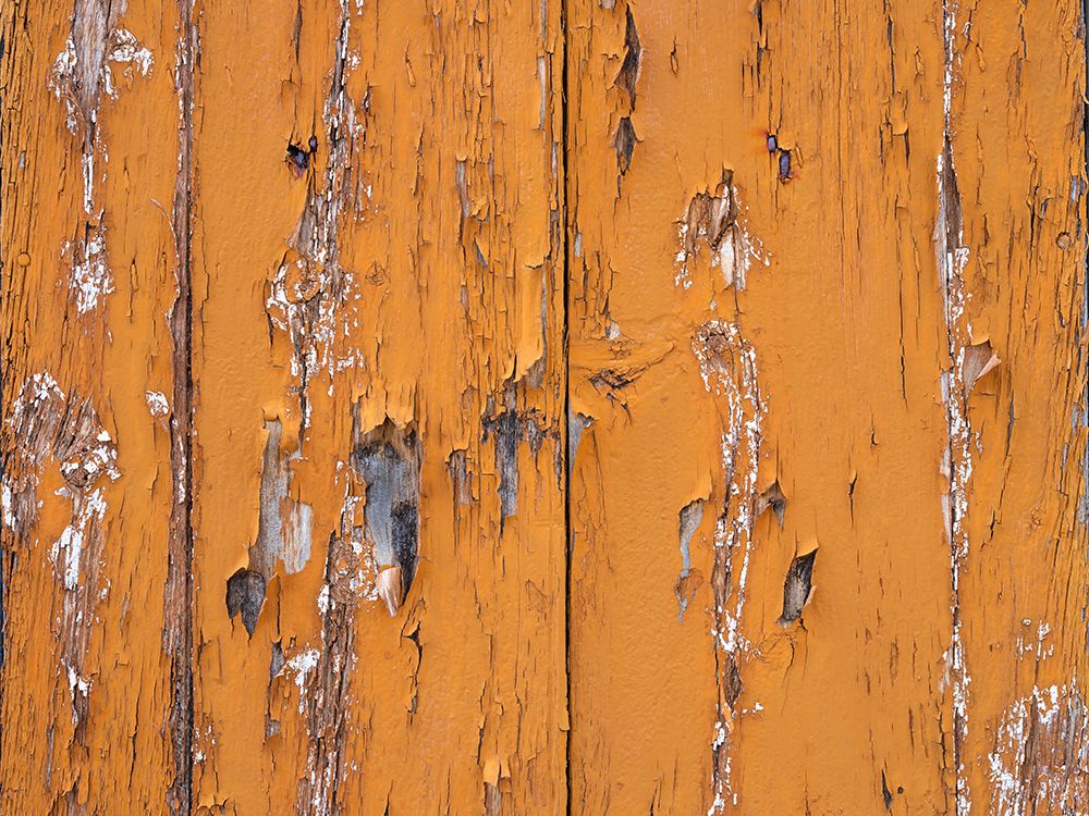 Old wooden door with orange paint art print by Assaf Frank for $57.95 CAD