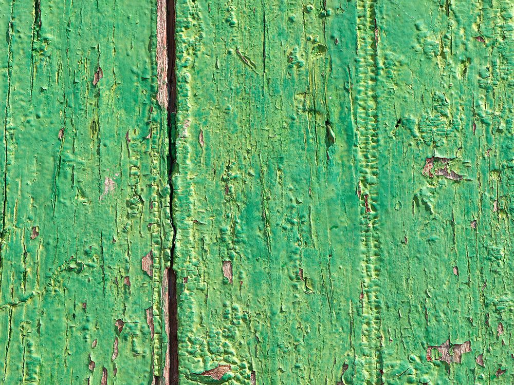 Old weathered wooden door in green color, Basseterre, Saint Kitts and Nevis art print by Assaf Frank for $57.95 CAD