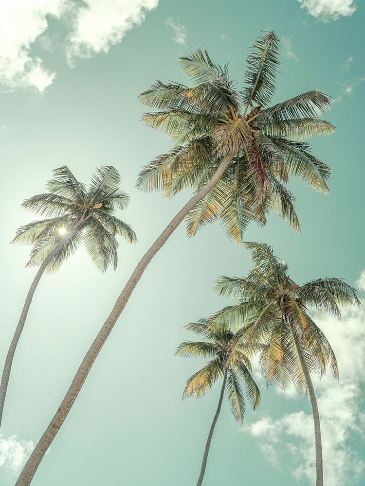 Palm trees against blue sky art print by Assaf Frank for $57.95 CAD