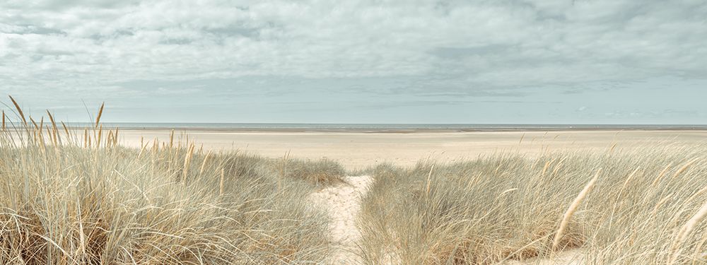 Grassy sand dunes on the sea coast under blue sky art print by Assaf Frank for $57.95 CAD