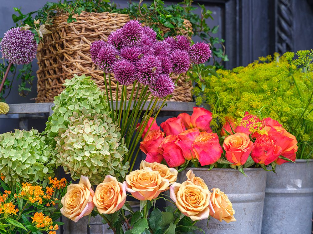 Flower shop art print by Assaf Frank for $57.95 CAD