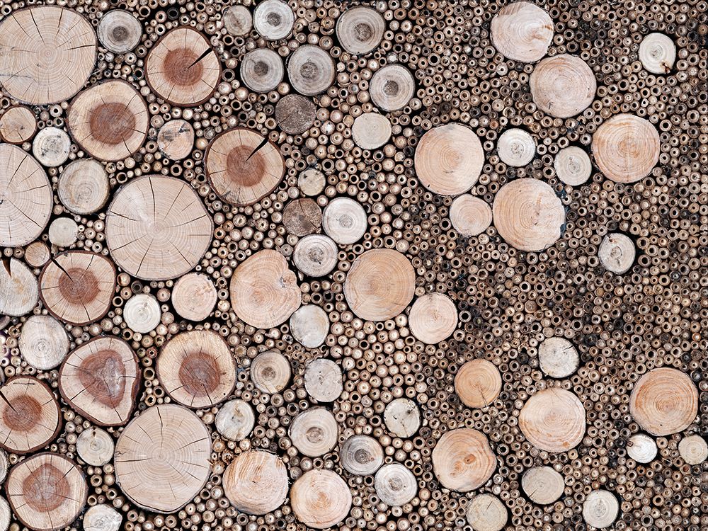 Full frame of log pieces art print by Assaf Frank for $57.95 CAD