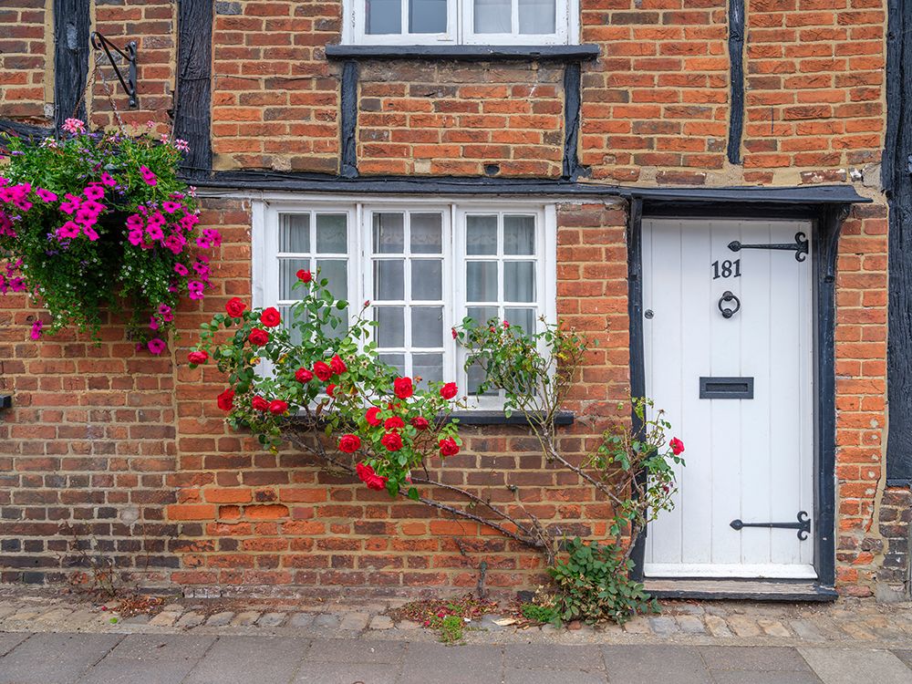 Old cottage front door art print by Assaf Frank for $57.95 CAD