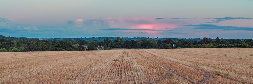 Panoramic view of Wheat Field at sunset art print by Assaf Frank for $57.95 CAD