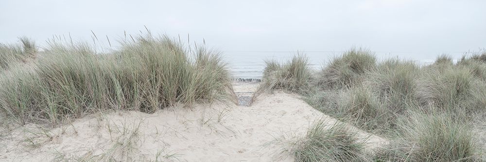Grassy sand dunes on the sea coast under sky art print by Assaf Frank for $57.95 CAD