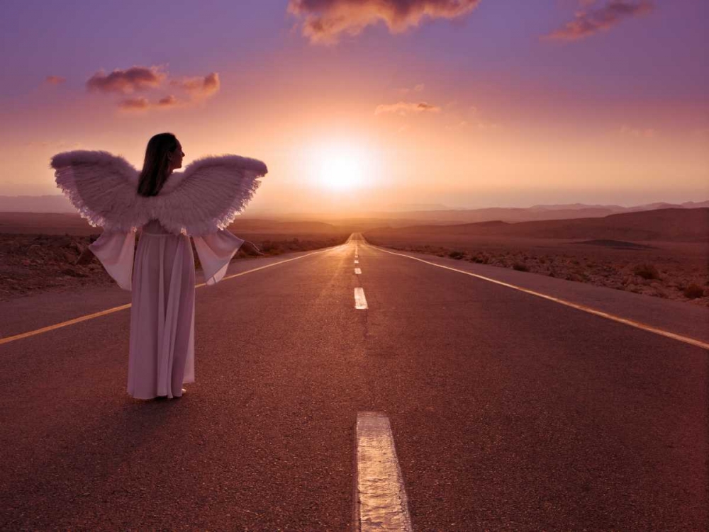 FTBR 1702 Road Angel art print by Assaf Frank for $57.95 CAD