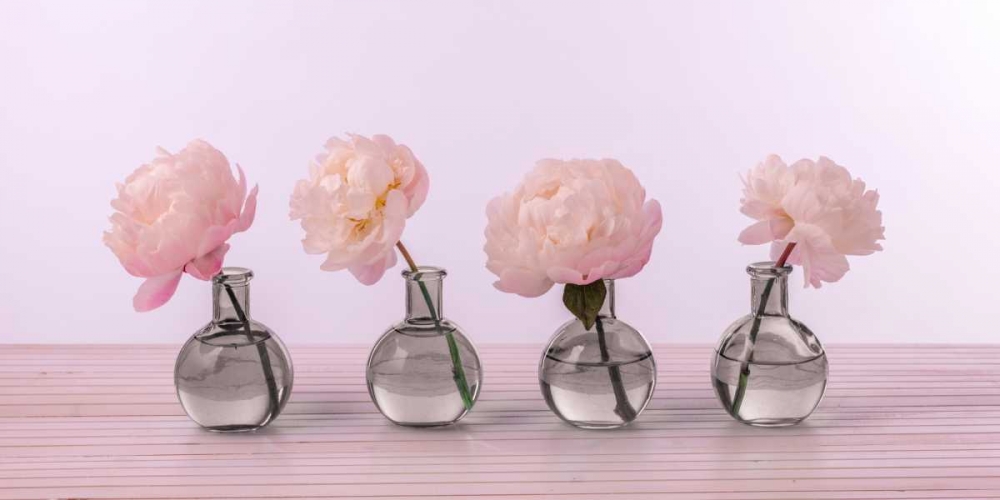 Peonies in glass bottles art print by Assaf Frank for $57.95 CAD