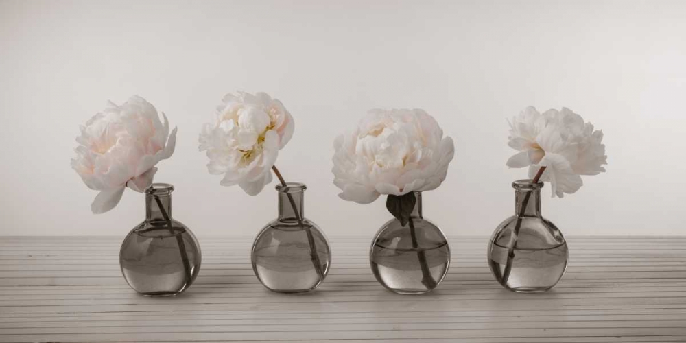 Peonies in glass bottles art print by Assaf Frank for $57.95 CAD