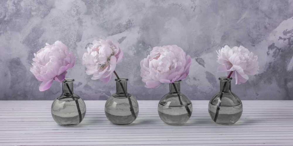 Peonies in glass bottles art print by Assaf Frank for $57.95 CAD