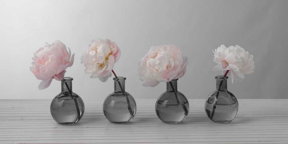 Peonies in glass bottles art print by Assaf Frank for $57.95 CAD