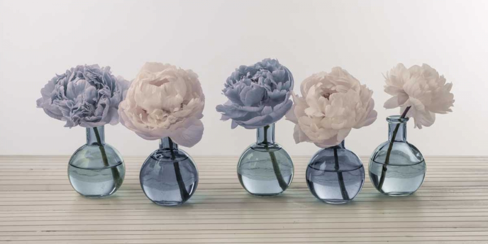 Peonies in glass bottles art print by Assaf Frank for $57.95 CAD