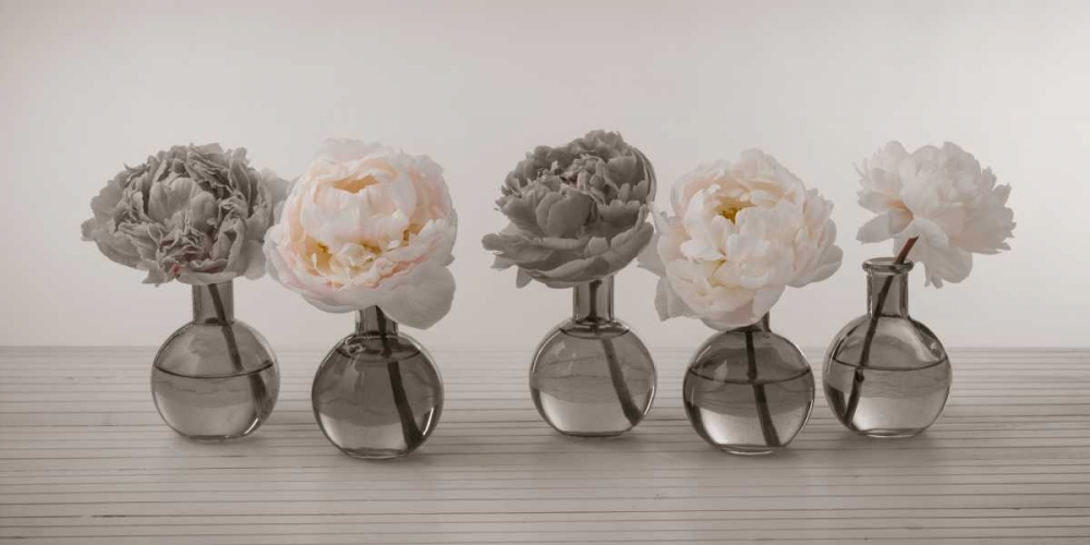 Peonies in glass bottles art print by Assaf Frank for $57.95 CAD