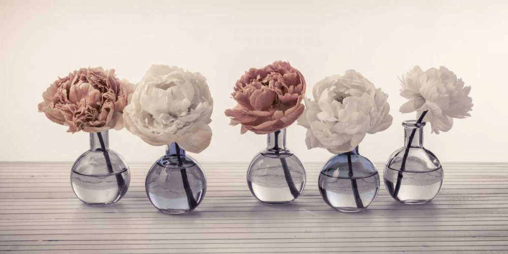 Peonies in glass bottles art print by Assaf Frank for $57.95 CAD