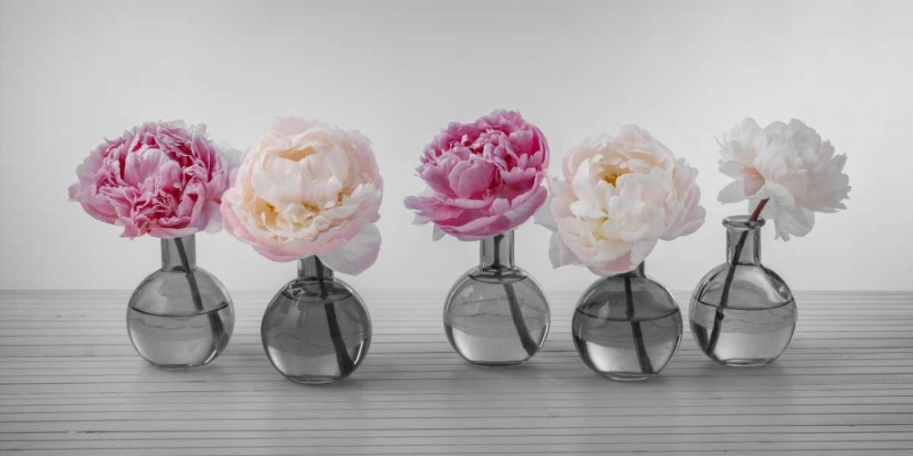 Peonies in glass bottles art print by Assaf Frank for $57.95 CAD