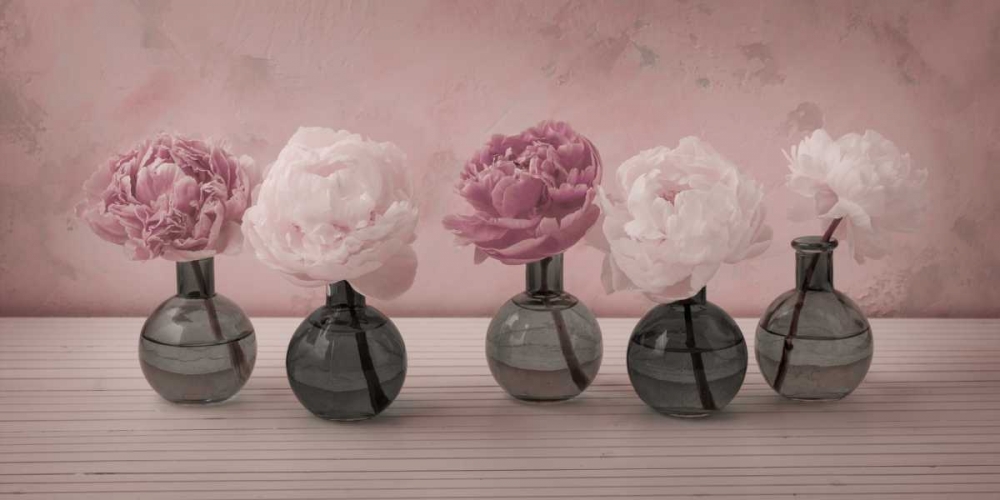 Peonies in glass bottles art print by Assaf Frank for $57.95 CAD