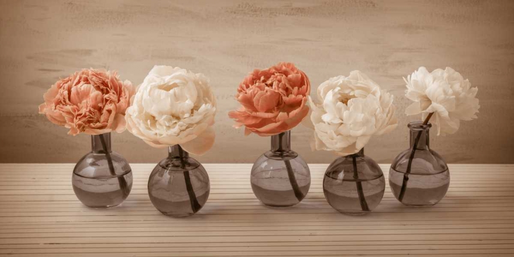 Peonies in glass bottles art print by Assaf Frank for $57.95 CAD