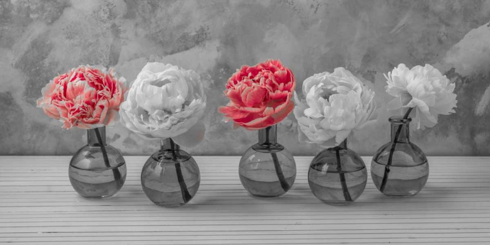 Peonies in glass bottles art print by Assaf Frank for $57.95 CAD