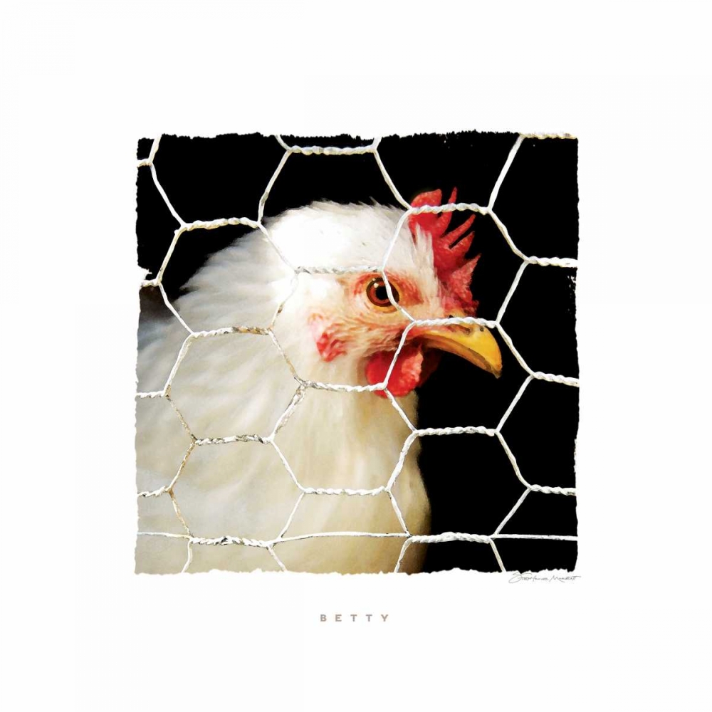 Betty art print by Stephanie Marrott for $57.95 CAD