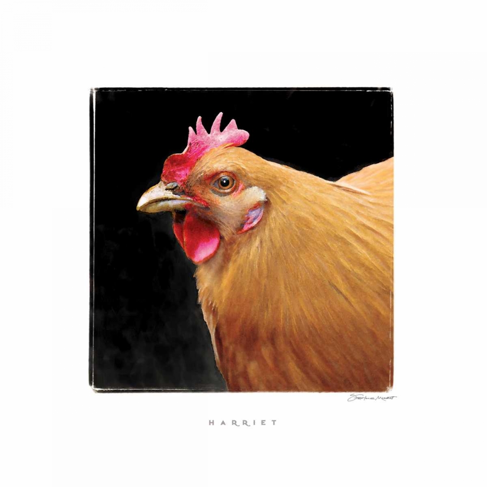 Harriet art print by Stephanie Marrott for $57.95 CAD