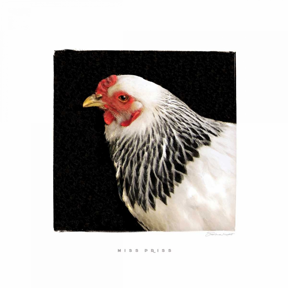 Miss Priss art print by Stephanie Marrott for $57.95 CAD