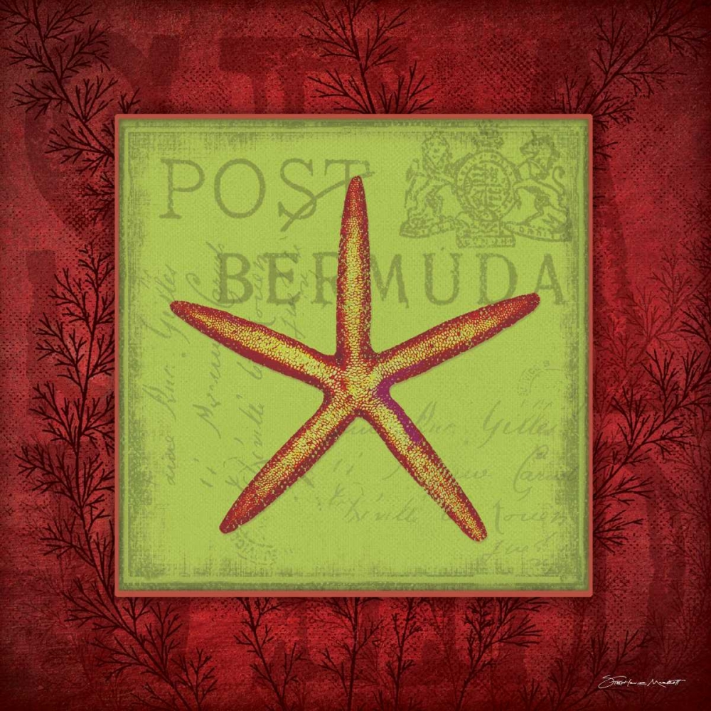 Starfish art print by Stephanie Marrott for $57.95 CAD