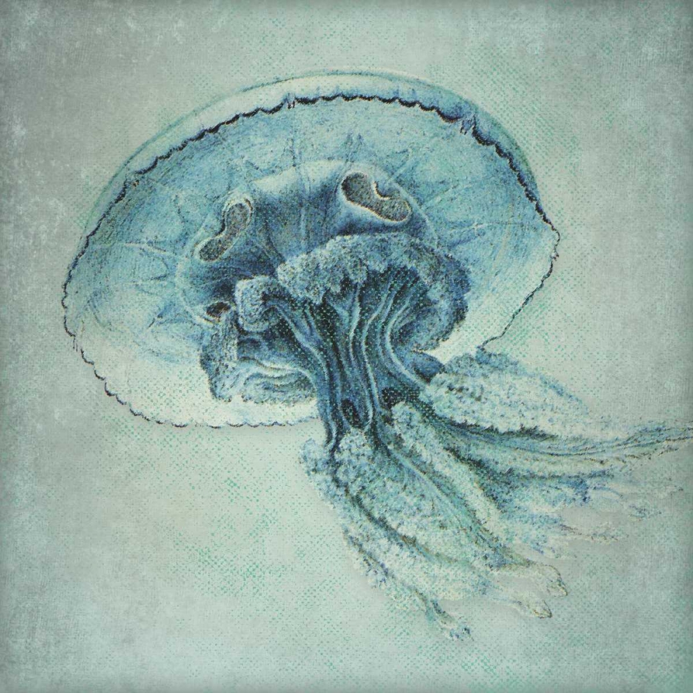 Blue Jelly art print by Stephanie Marrott for $57.95 CAD