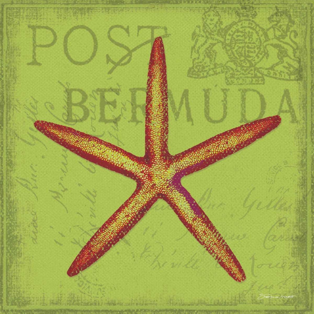 Funky Starfish art print by Stephanie Marrott for $57.95 CAD