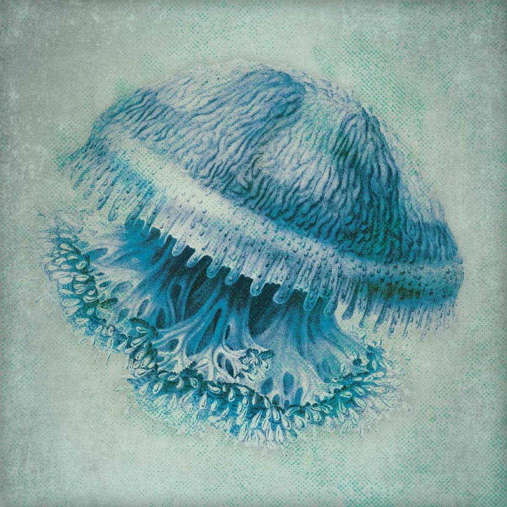 Jelly Fish II art print by Stephanie Marrott for $57.95 CAD