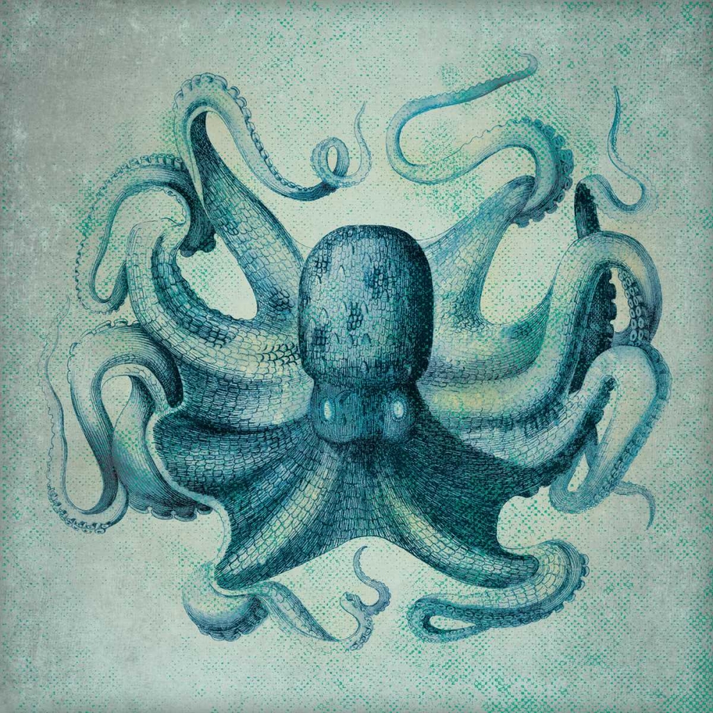 Octopus art print by Stephanie Marrott for $57.95 CAD